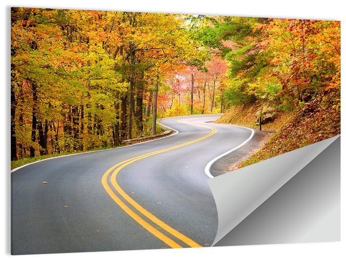 Winding Autumn Road Wall Art as a poster print