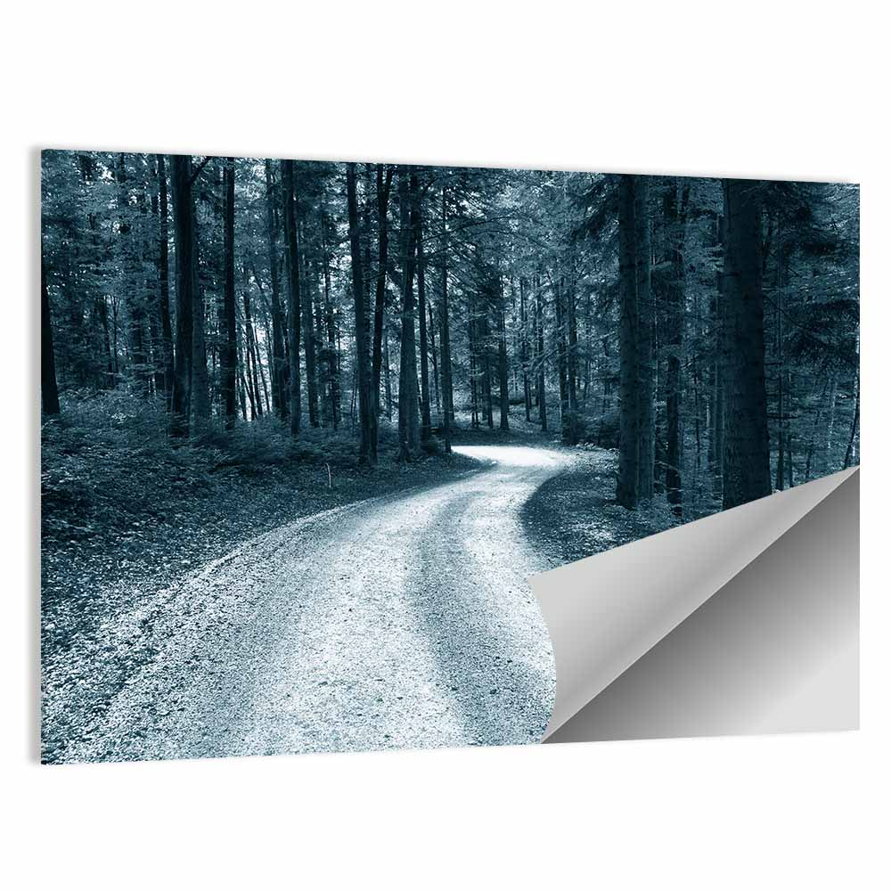 Forest Sandy Road Wall Art