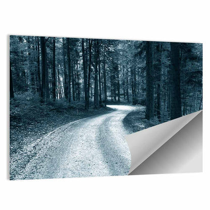 Forest Sandy Road Wall Art