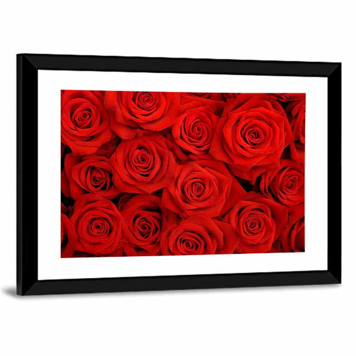 Red Roses Close Up Wall Art as a framed print