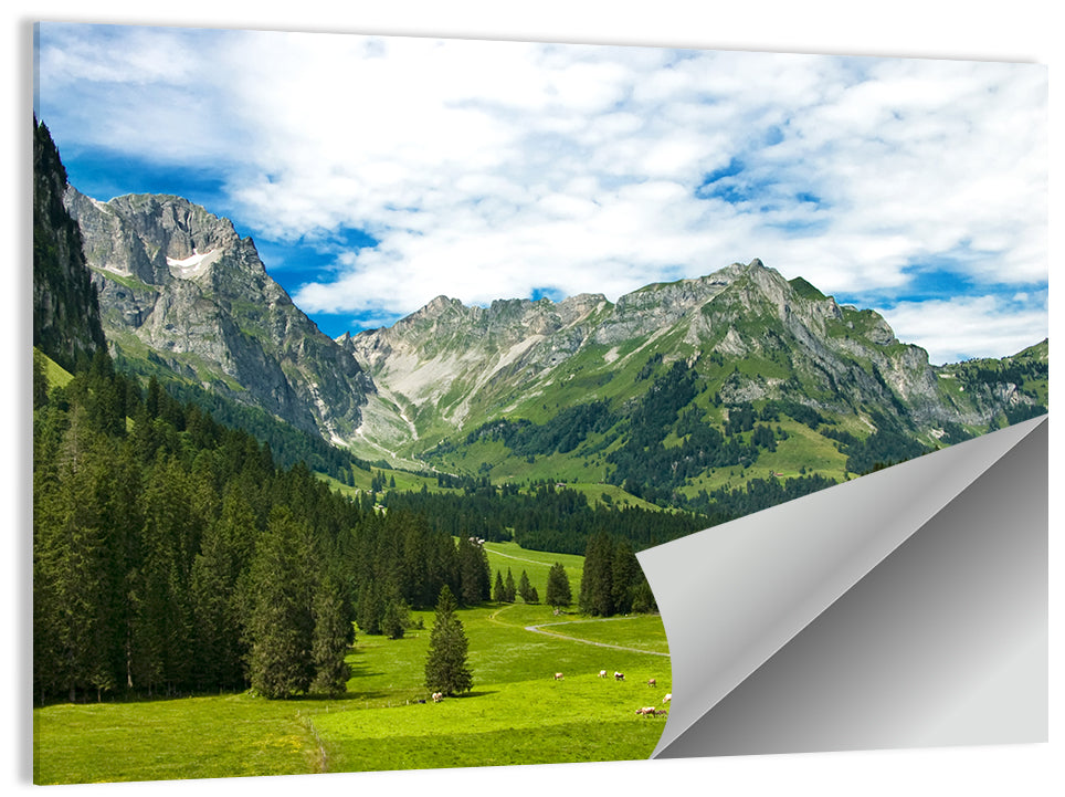 Arnibach Valley Summer Meadow Wall Art