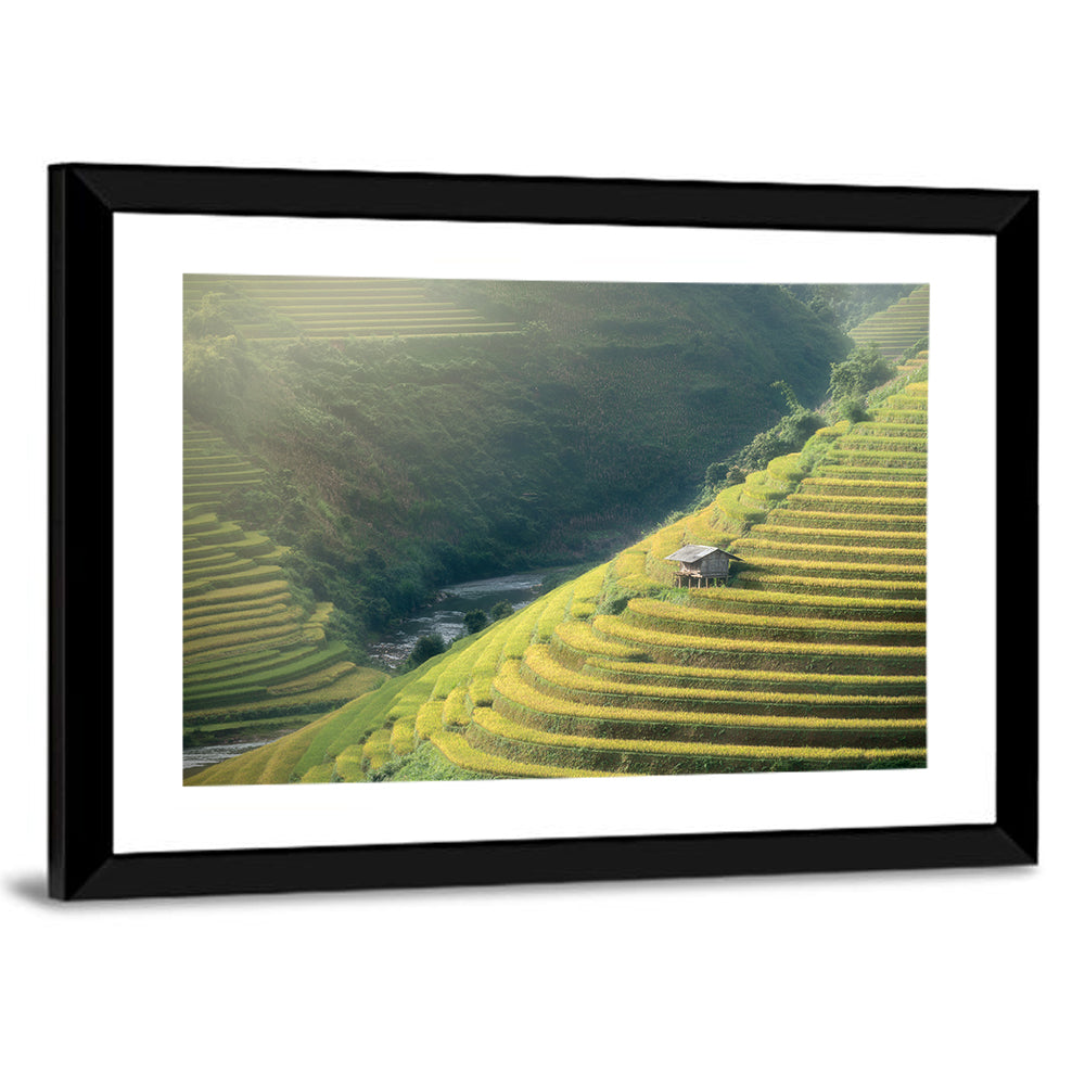 Golden Rice Terraces Wall Art