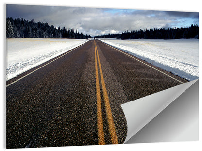 Winter Road Wall Art