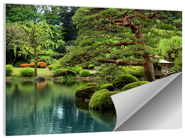 Bonsai Pine Over Tranquil Pond Wall Art as a poster print