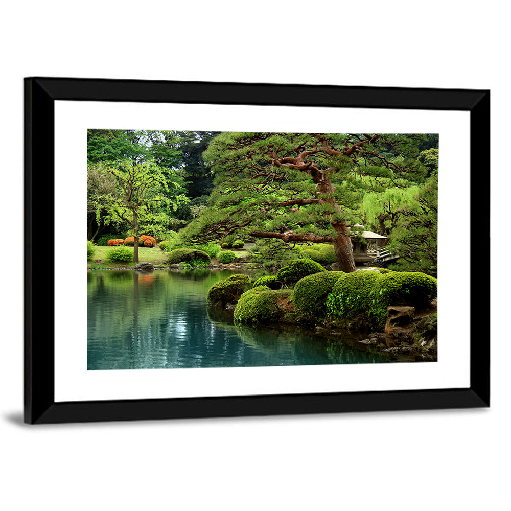 Bonsai Pine Over Tranquil Pond Wall Art