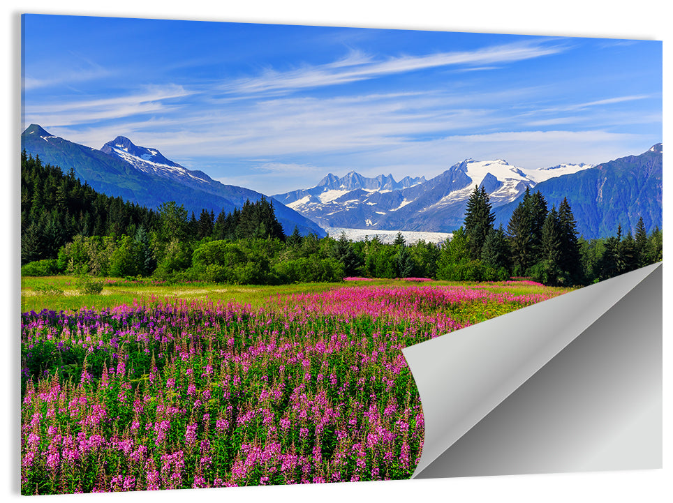Juneau Meadow with Mendenhall Glacier Wall Art