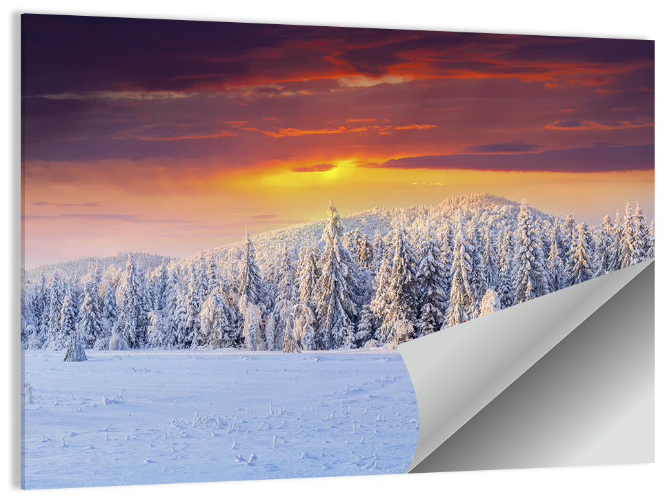 Snowy Forest Sunset Wall Art