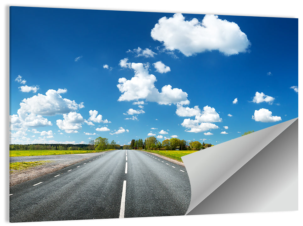 Asphalt Road Through Meadow Wall Art