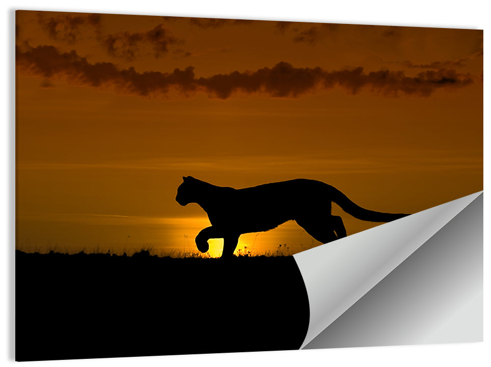 Cougar Silhouette at Sunset Wall Art