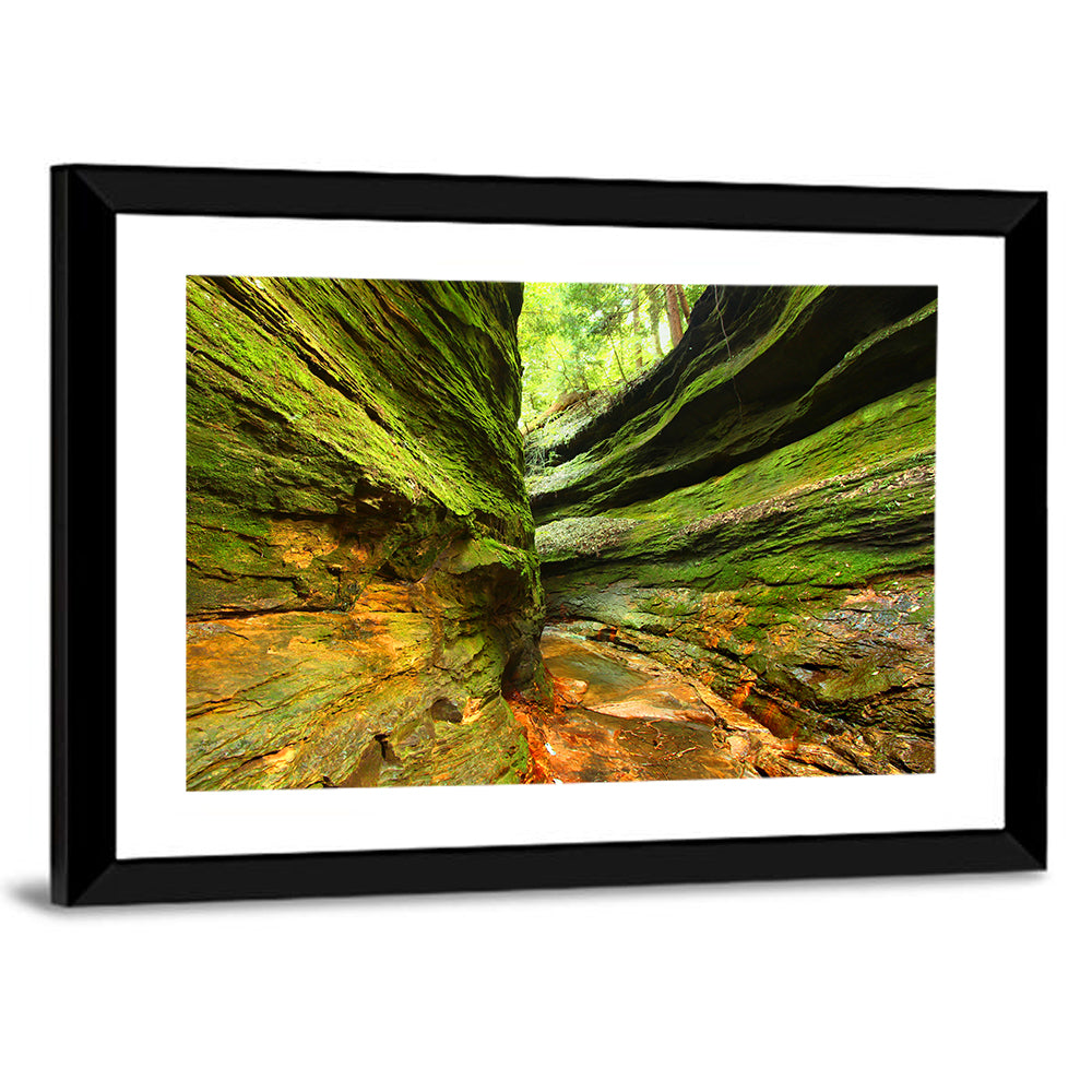 Turkey Run State Park Canyon Wall Art