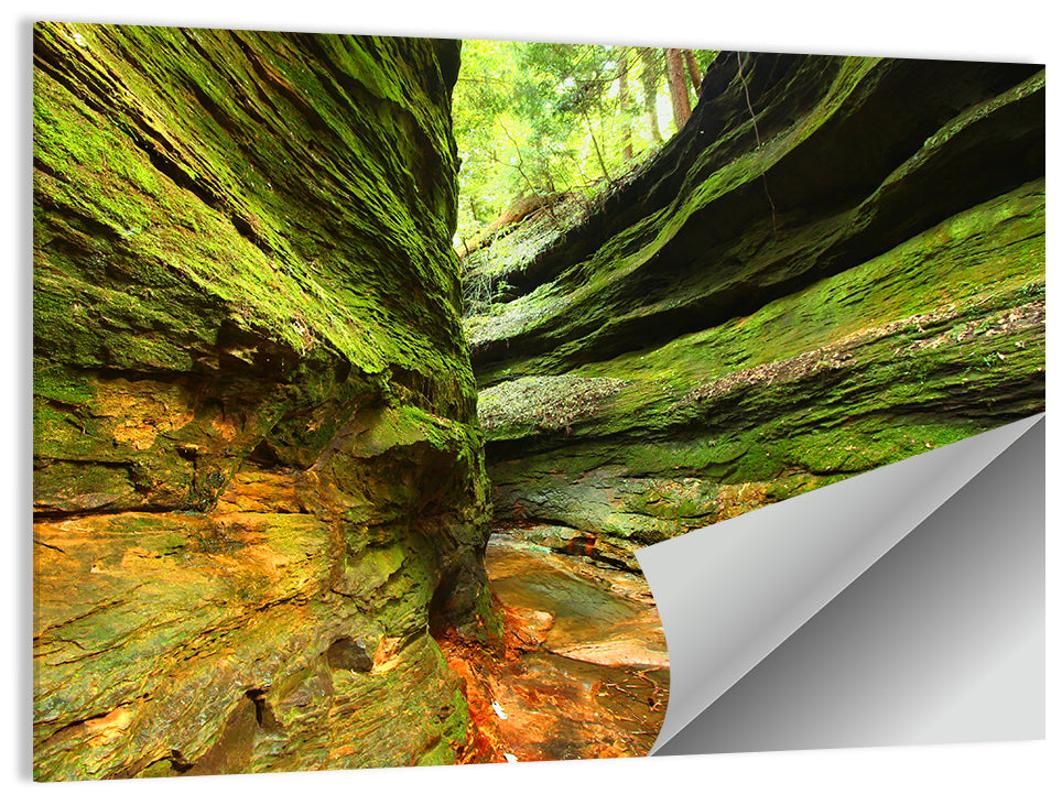 Turkey Run State Park Wall Art