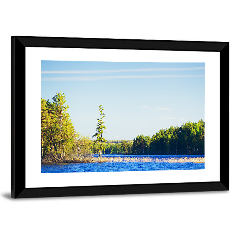 Summer Forest Lake Shoreline Wall Art
