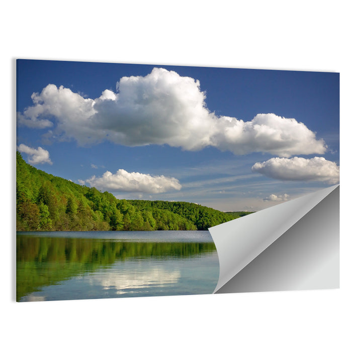 Plitvice Forest Lake Scene Wall Art as a poster print