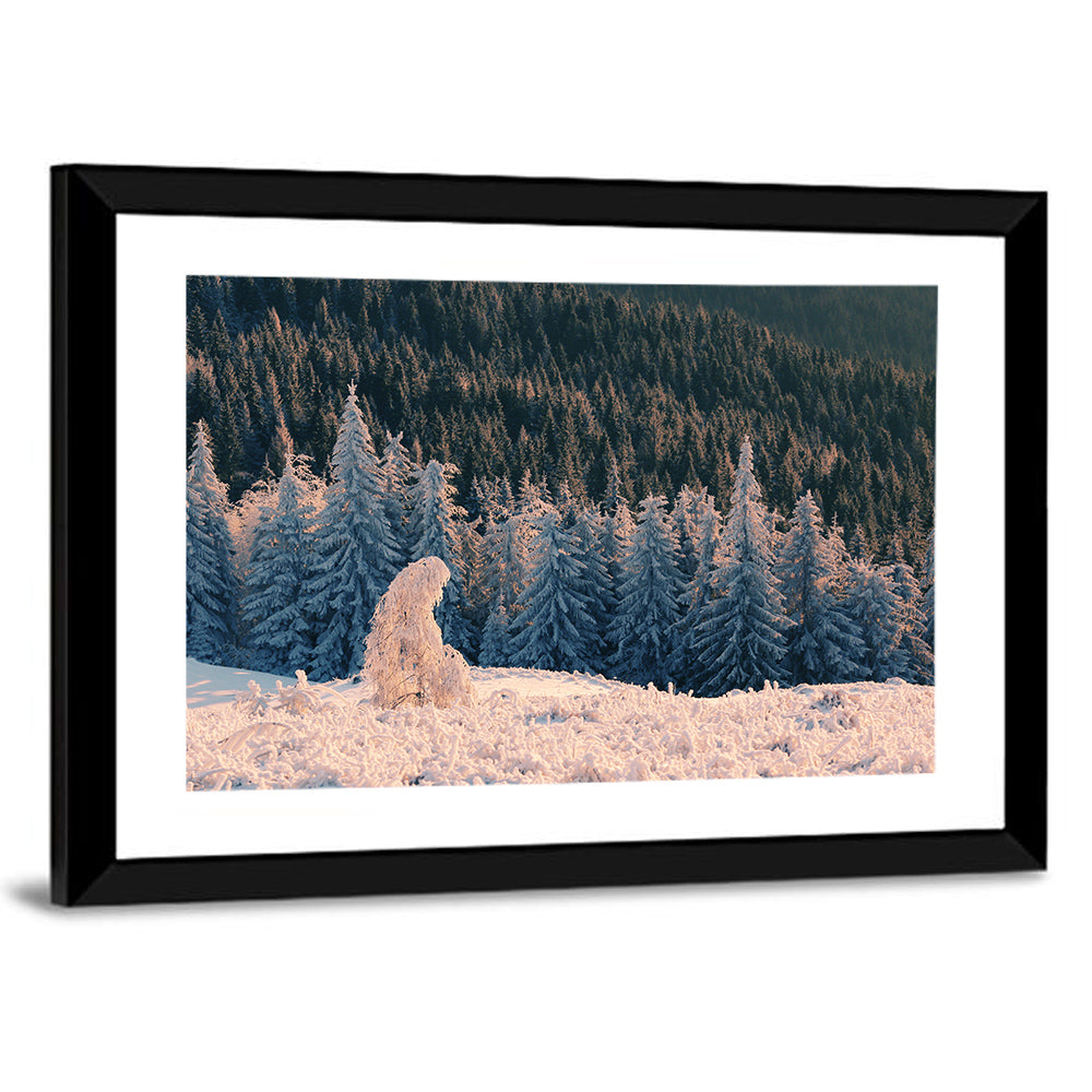 Carpathian Forest at Golden Hour Wall Art