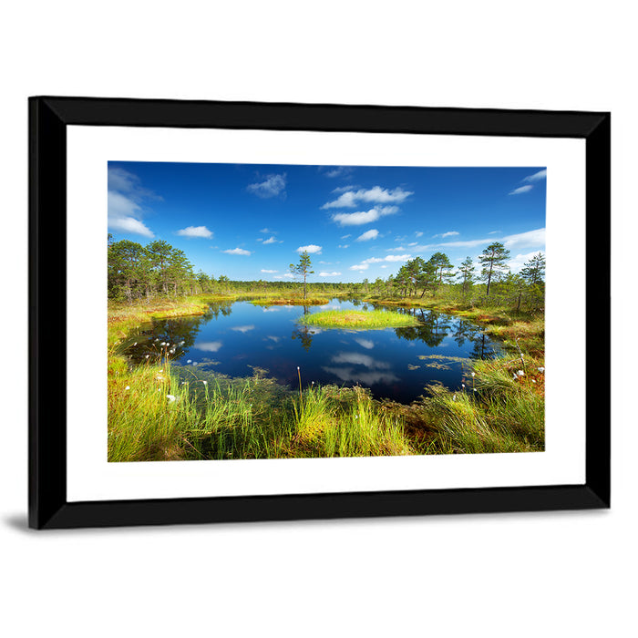 Viru Bogs Reflections Wall Art as a framed print