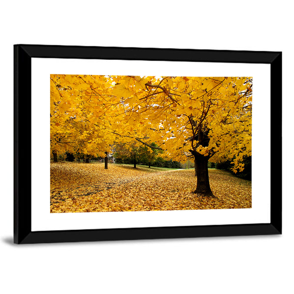Baltimore Autumn Foliage Wall Art