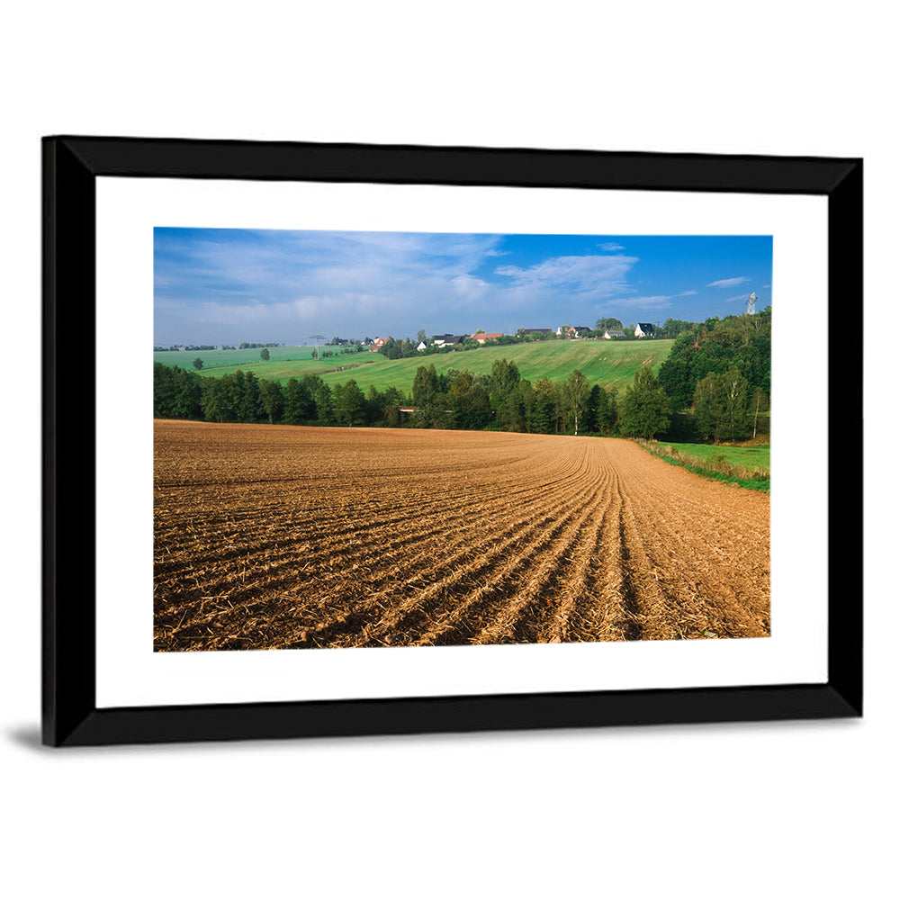 Kansas Wheat Fields Wall Art