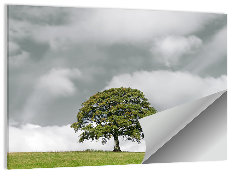 Oak Tree Wall Art