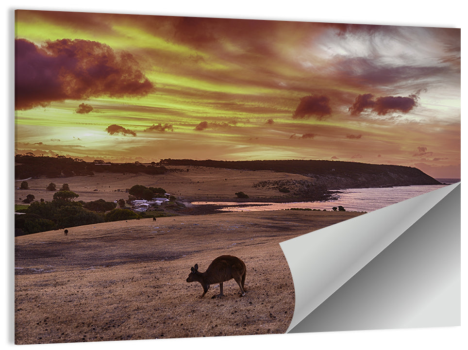 Two Kangaroos at Sunset Coast Wall Art