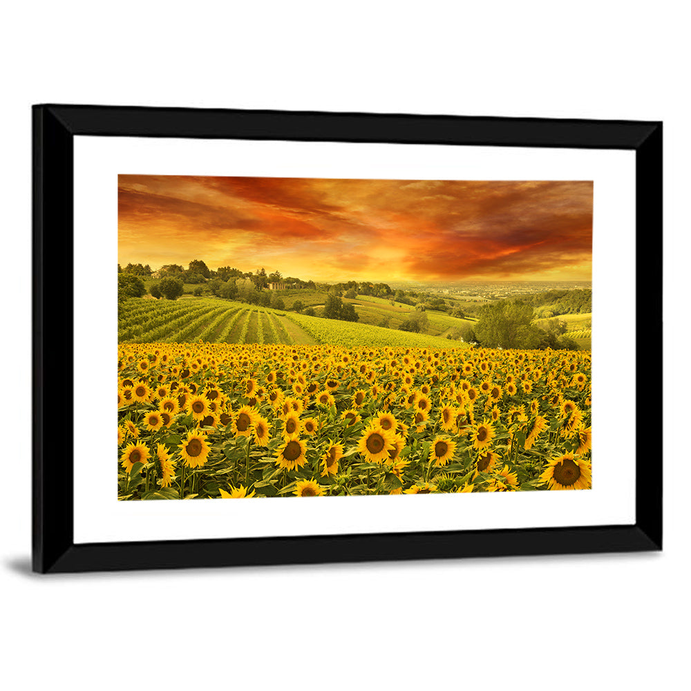 Sunflower Field at Golden Hour Wall Art