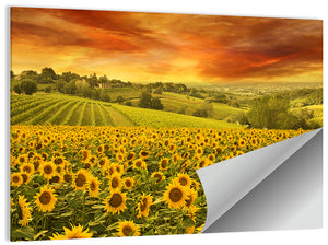 Sunflowers Fieldscape Wall Art
