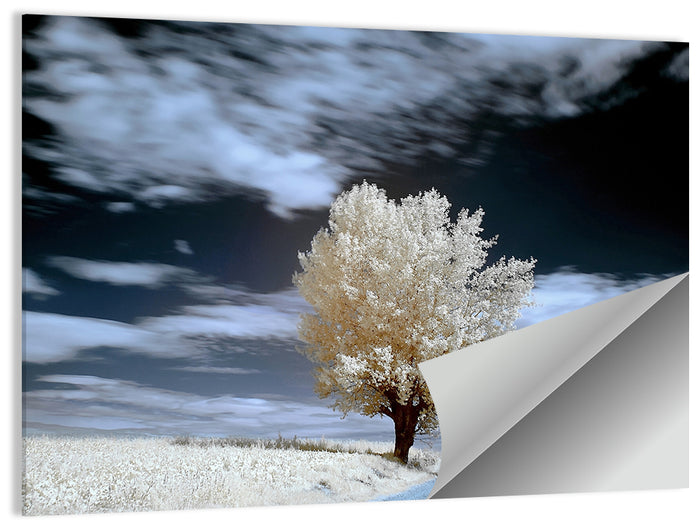 Infrared Winter Willow Tree Wall Art as a poster print