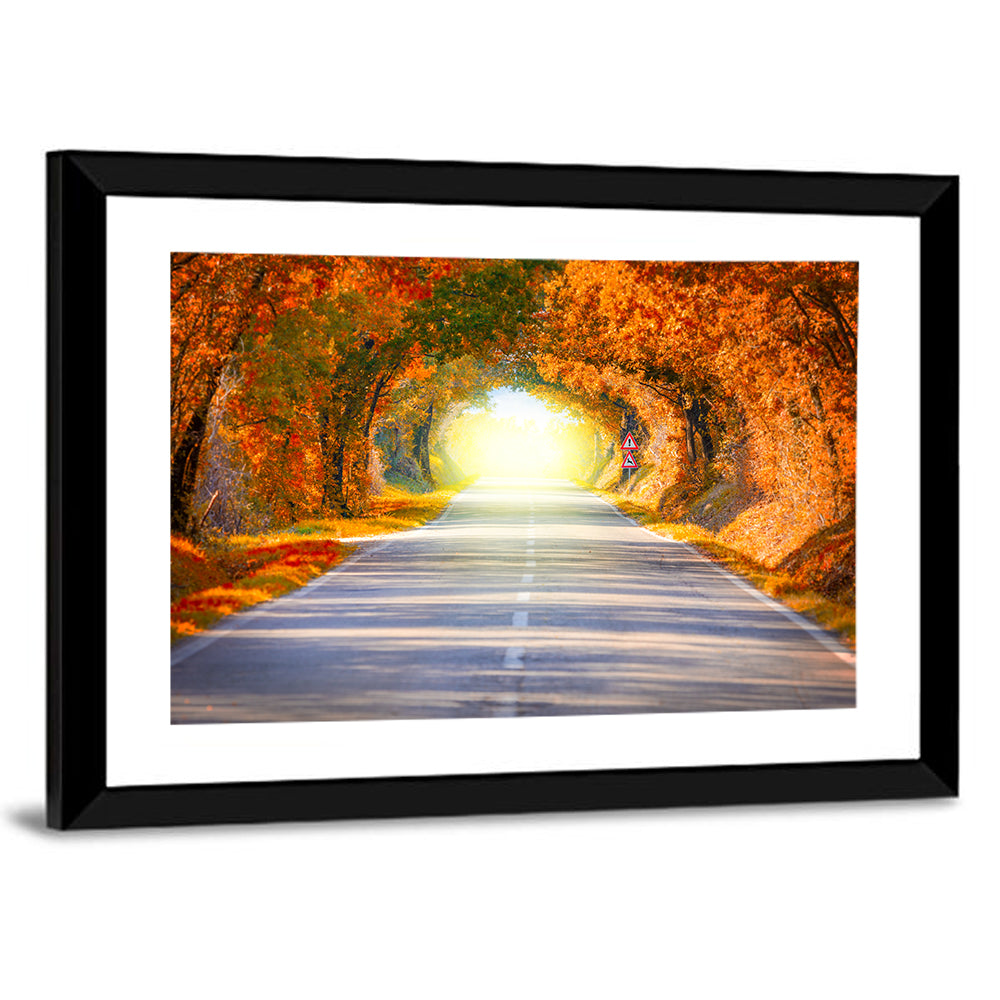 Golden Autumn Tree Tunnel Wall Art