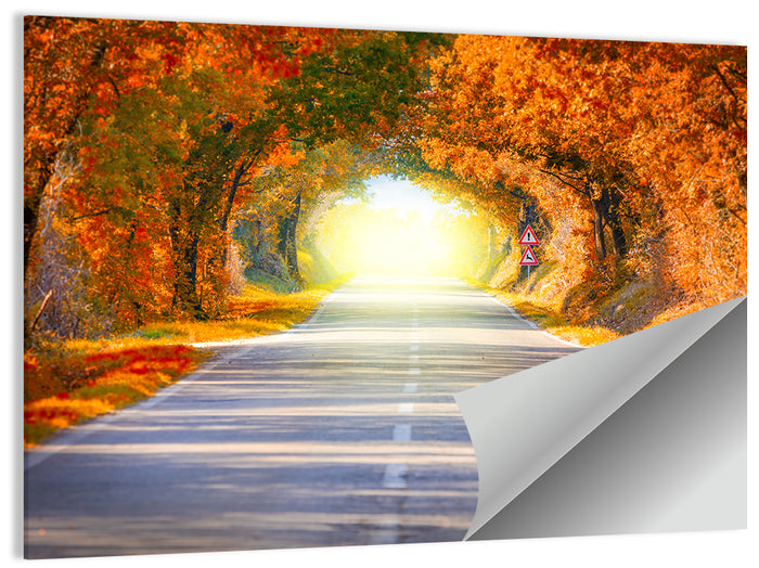 Golden Autumn Tree Tunnel Wall Art as a poster print