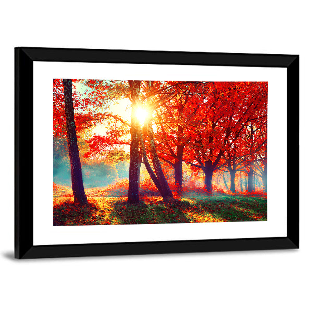 Autumn Park Sunrise Wall Art