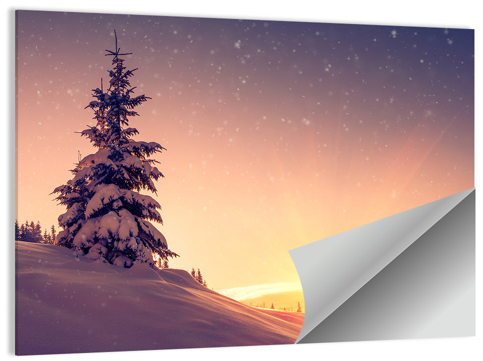 Snowy Sunset with Conifer Wall Art