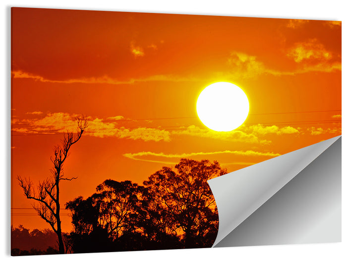 Burning Sun Over Tree Silhouettes Wall Art as a poster print