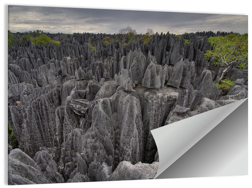Tsingy de Bemaraha Wall Art