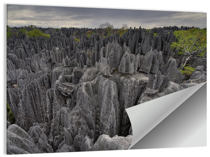 Tsingy de Bemaraha Wall Art