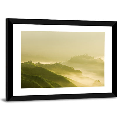 Tea Plantation Wall Art