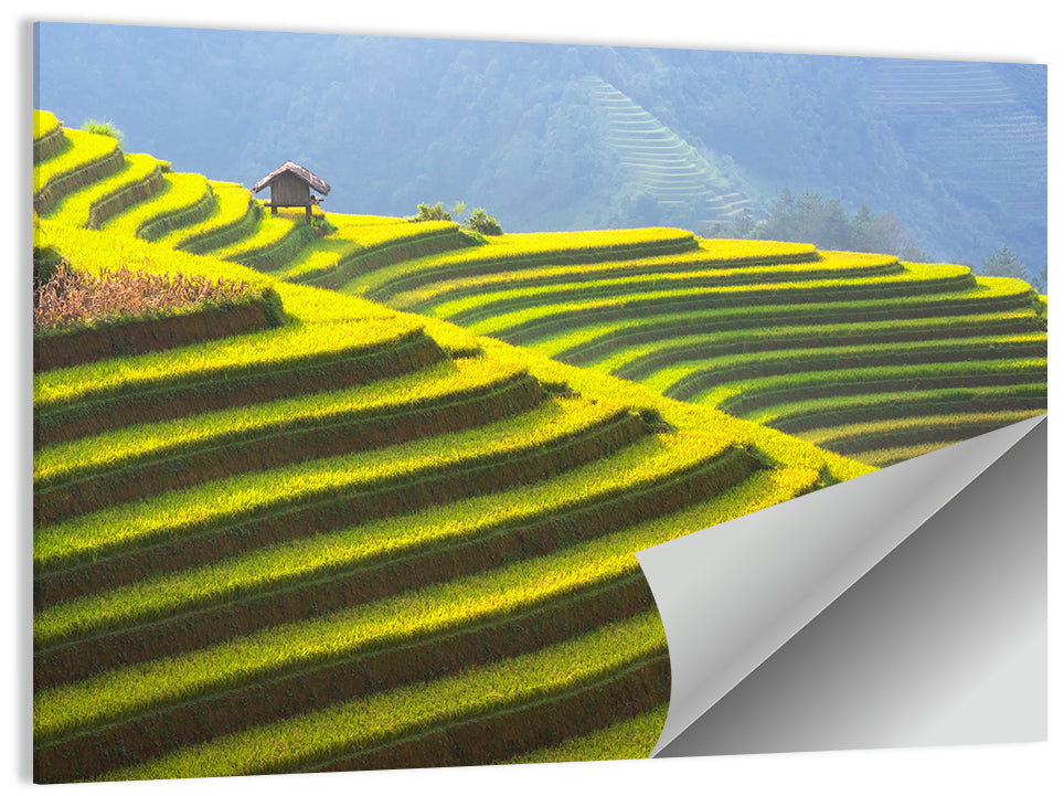 Rice Terrace Vietnam Wall Art