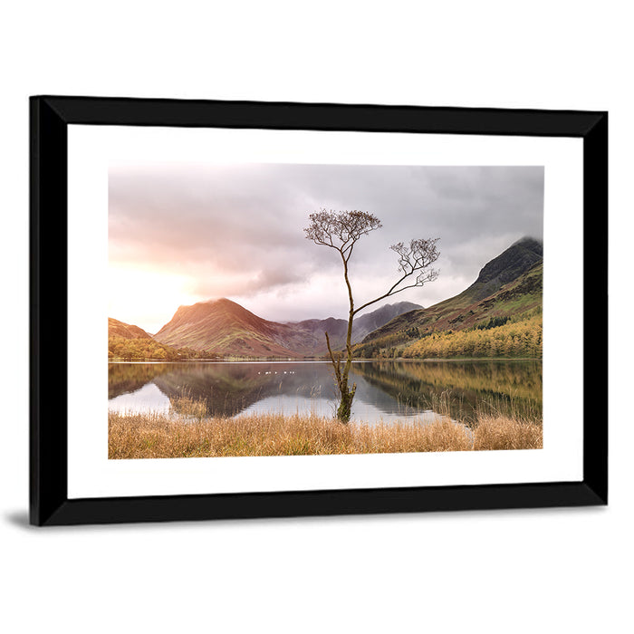 Buttermere Lone Tree at Dusk Wall Art as a framed print