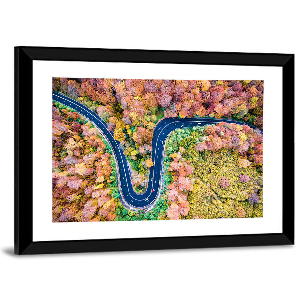 Winding Forest Road Wall Art