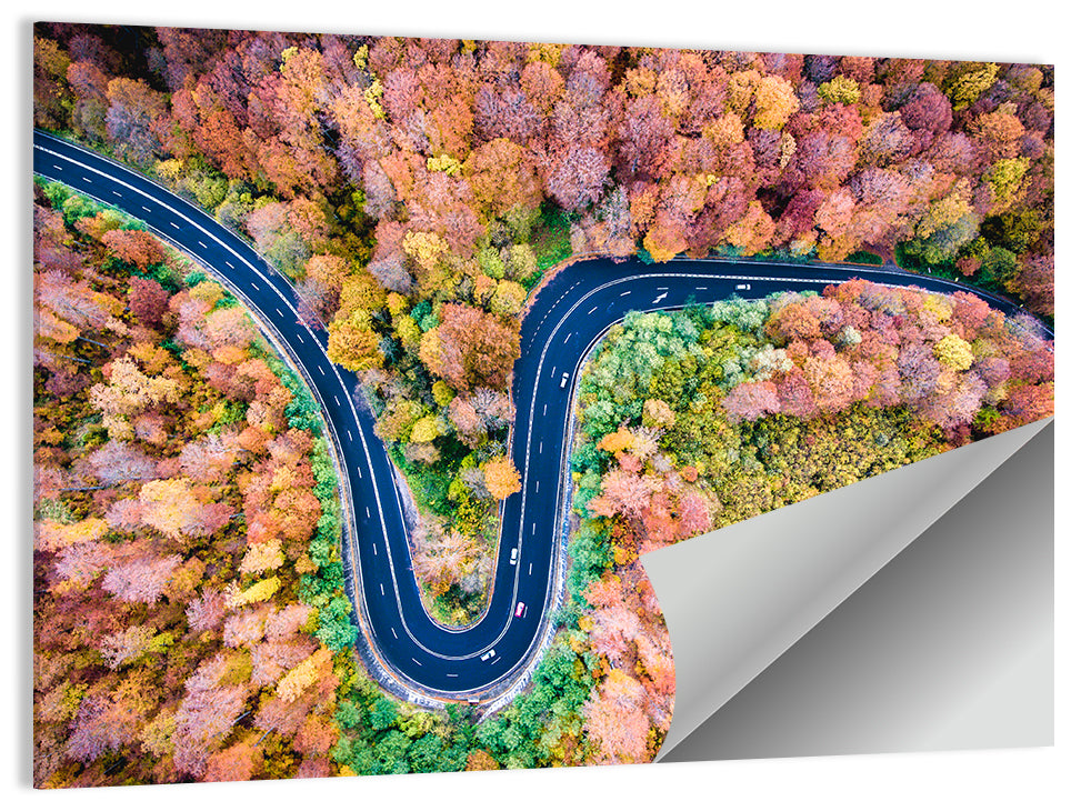 Winding Forest Road Wall Art