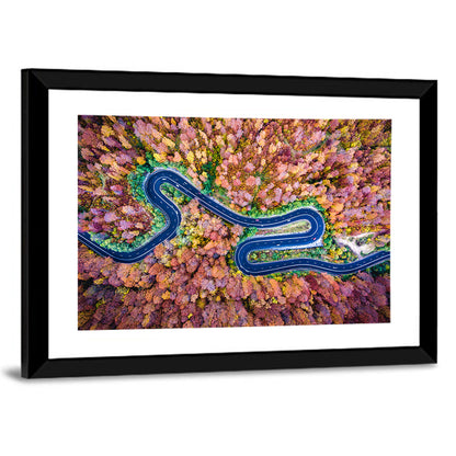 Curved Road Wall Art