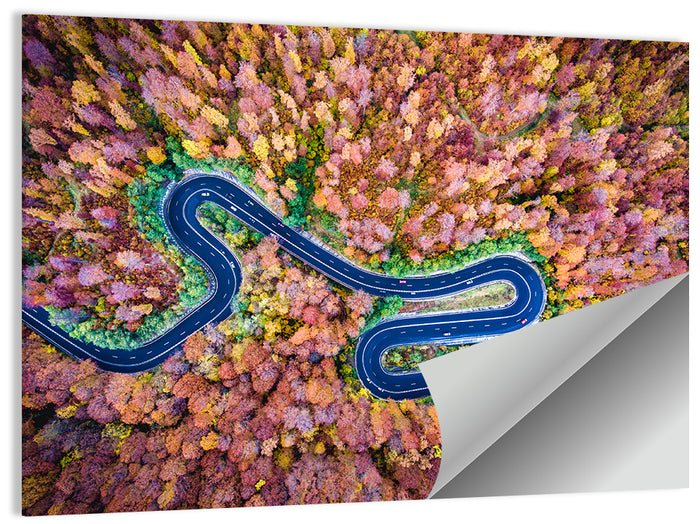 Aerial Winding Road Wall Art as a poster print