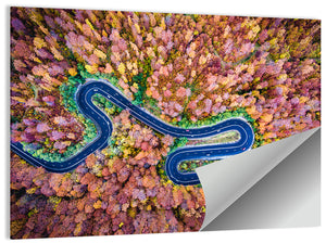 Curved Road Wall Art
