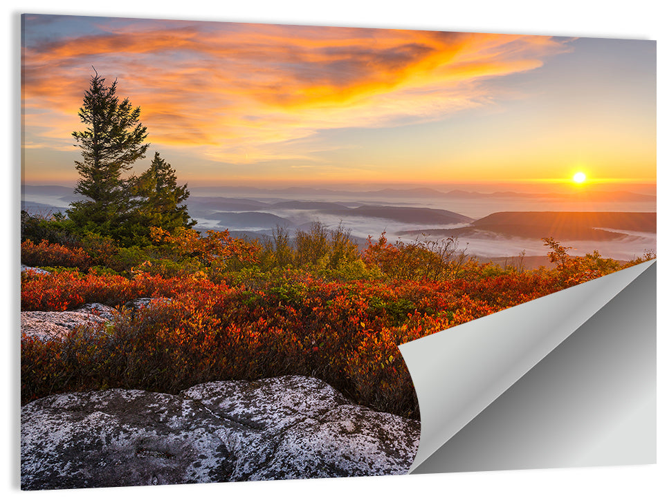 Dolly Sods Sunrise Wall Art
