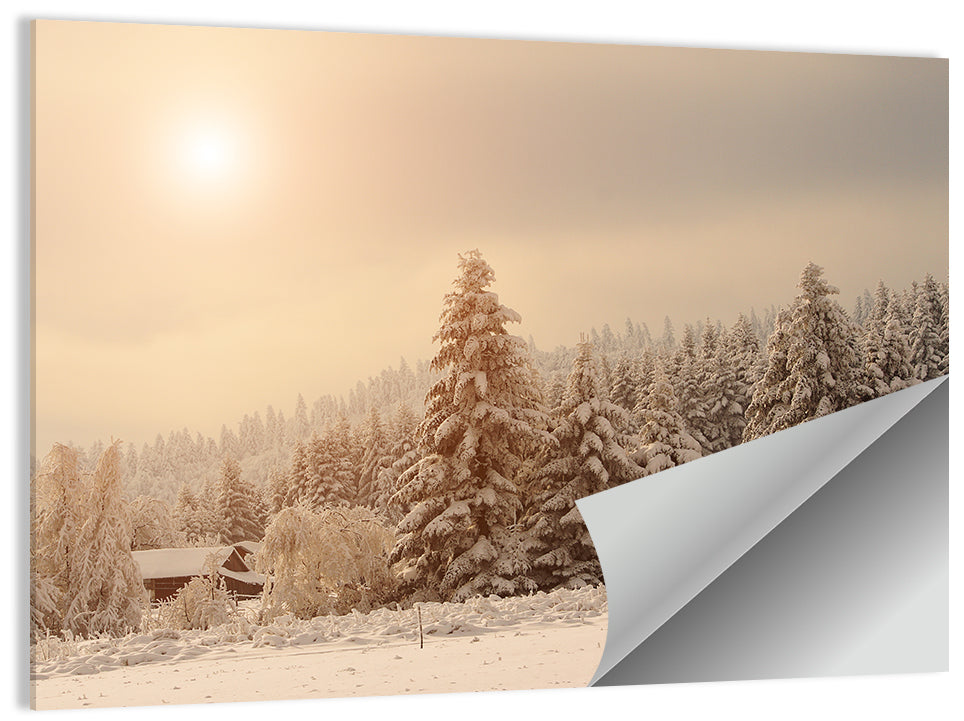 Snowy Pine Forest at Golden Hour Wall Art