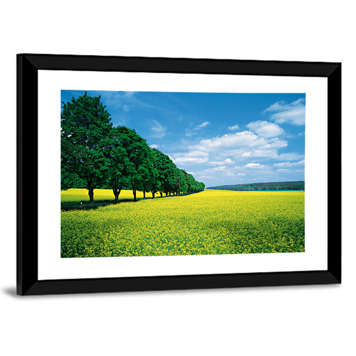 Spring Field of Yellow Flowers Wall Art as a framed print