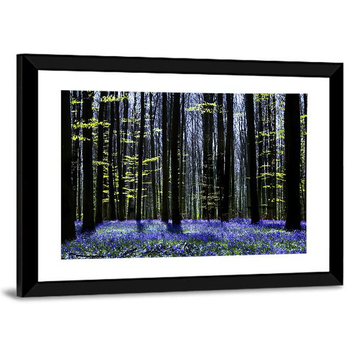 Bluebell Symphony Wall Art as a framed print
