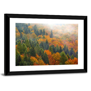 Autumn Forestscape Wall Art