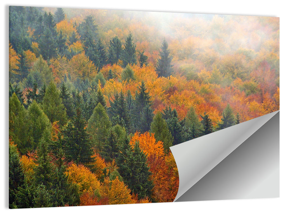 Misty Autumn Forestscape Wall Art