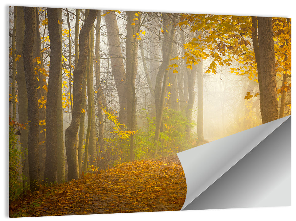 Cuyahoga Valley Autumn Path Wall Art