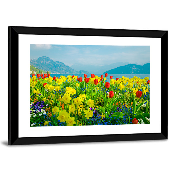 Lake Lucerne Daffodils Wall Art as a framed print