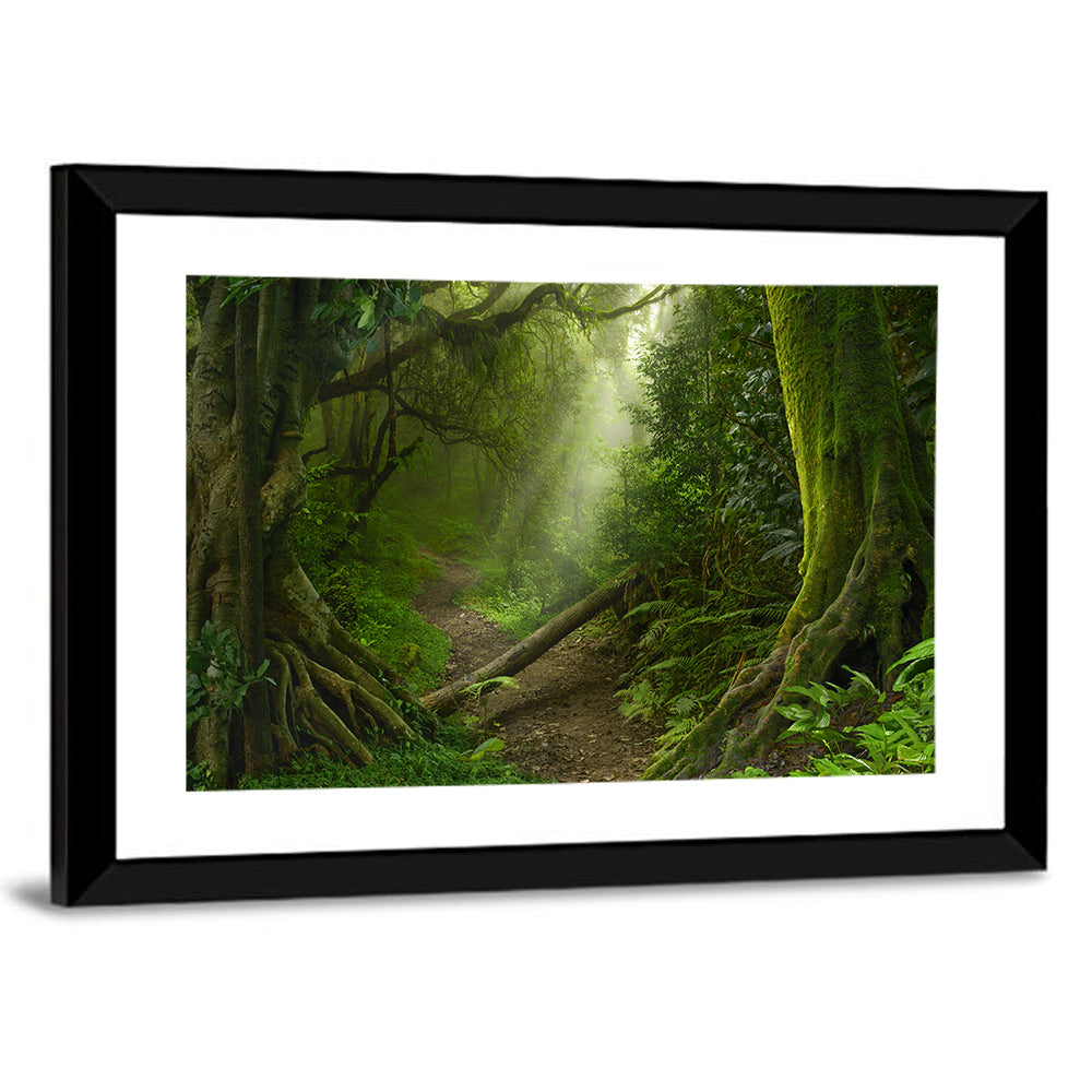 Moss-covered Rainforest Path Wall Art